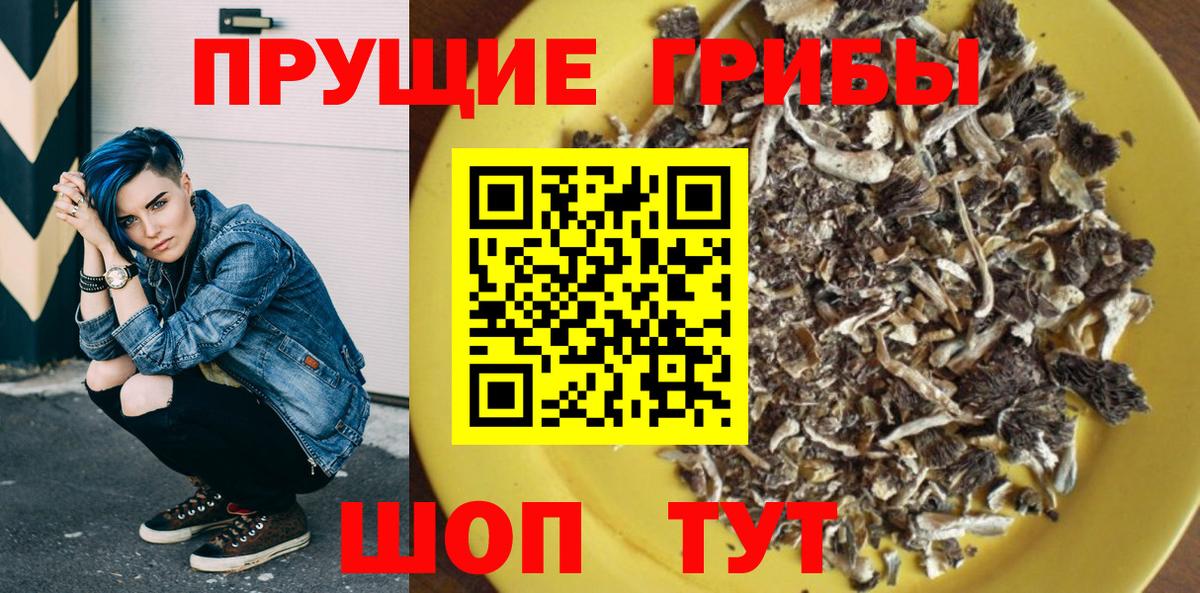 Псилоцибиновые грибы Cubensis  Вход с VPN  Малоярославец 
